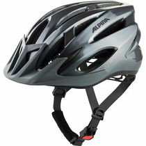 Alpina MTB17 Helmet Grey