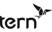 TERN BIKES logo