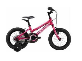 PYTHON BIKES Rock Girls 14