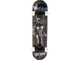 Tony Hawk Tony Hawk Signature Series 540 Complete Skateboard Highway