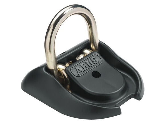 ABUS WBA100 Granit B/SB Wall anchor click to zoom image