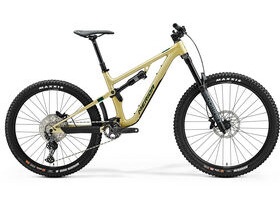 MERIDA One-Sixty 500 - Gold - MY24