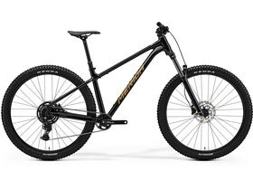 MERIDA Big Trail 300 - Black/Brown - MY25